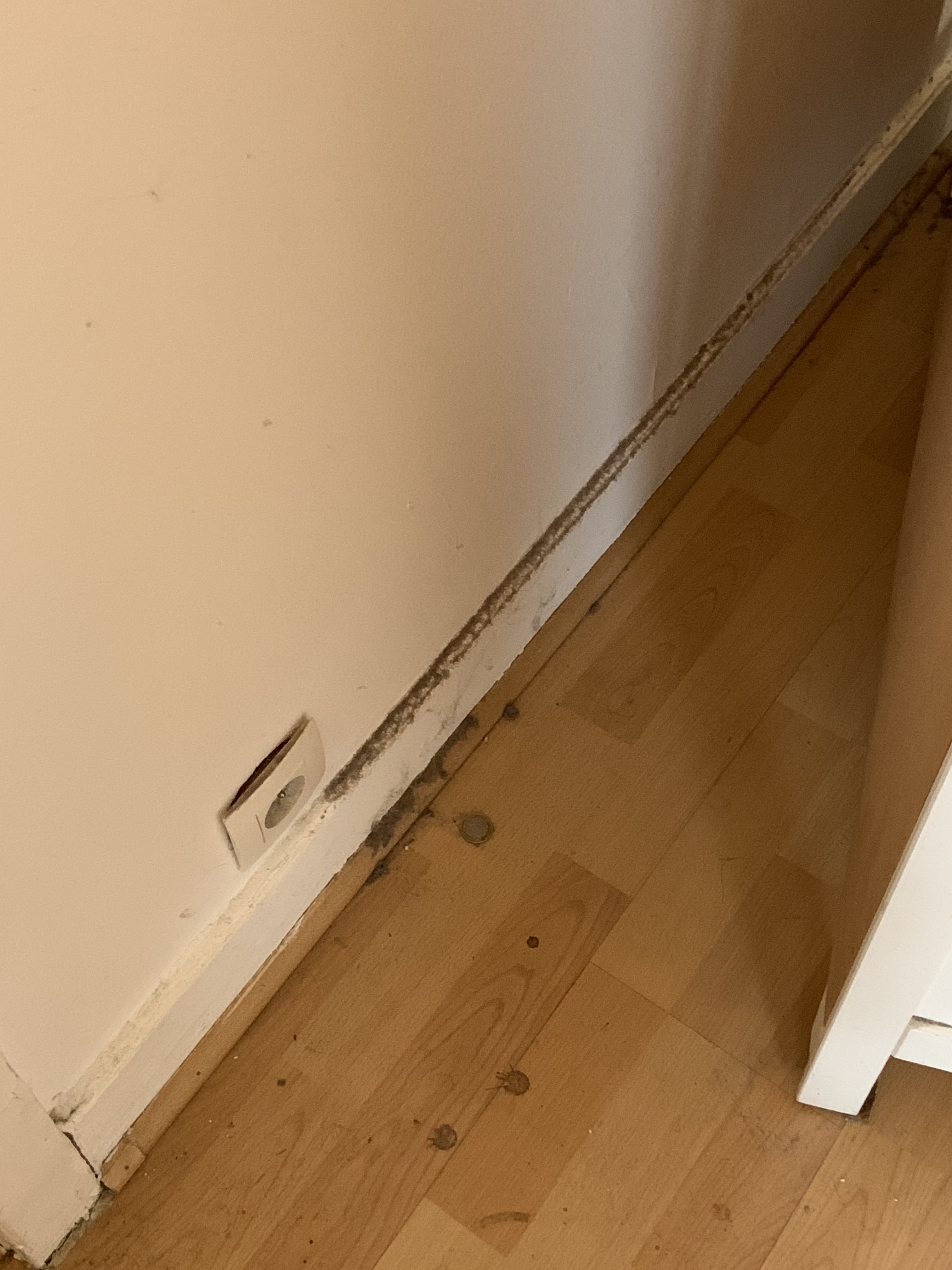 Photo n° 10 de l'avis de B.P fait le 22/02/2024 à 16:58