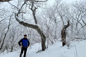 소백산국립공원 천동 지구 image