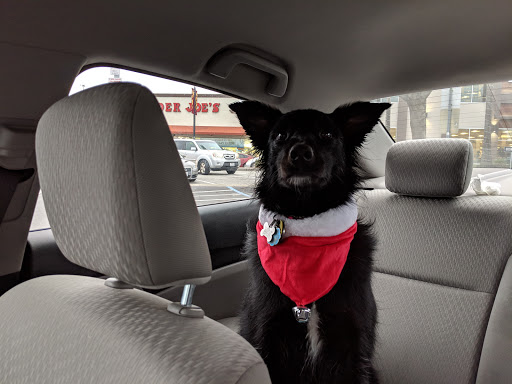 Pet Supply Store «Pet Food Express», reviews and photos, 631 Broadway, Millbrae, CA 94030, USA