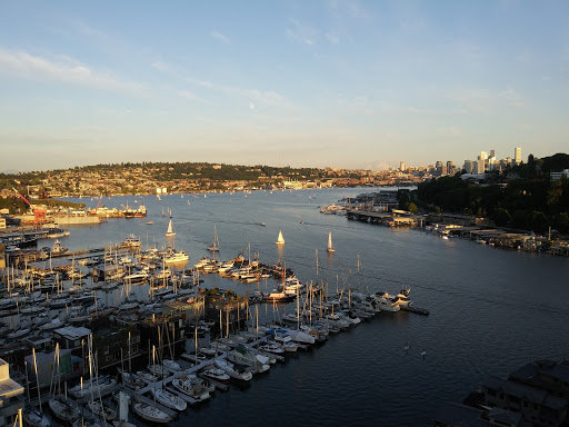 Tourist Attraction «Fremont Troll», reviews and photos, Troll Ave N, Seattle, WA 98103, USA