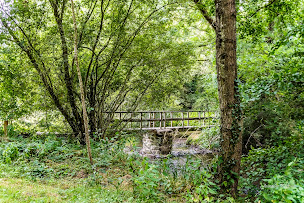 Photo n°3 de ELASTIQUE-RECORD Saint Georges Le Gaultier à Saint-Georges-le-Gaultier ()