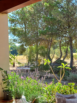 Photos du propriétaire Bed & Breakfast B&B Soleluna sas 09040 Castiadas