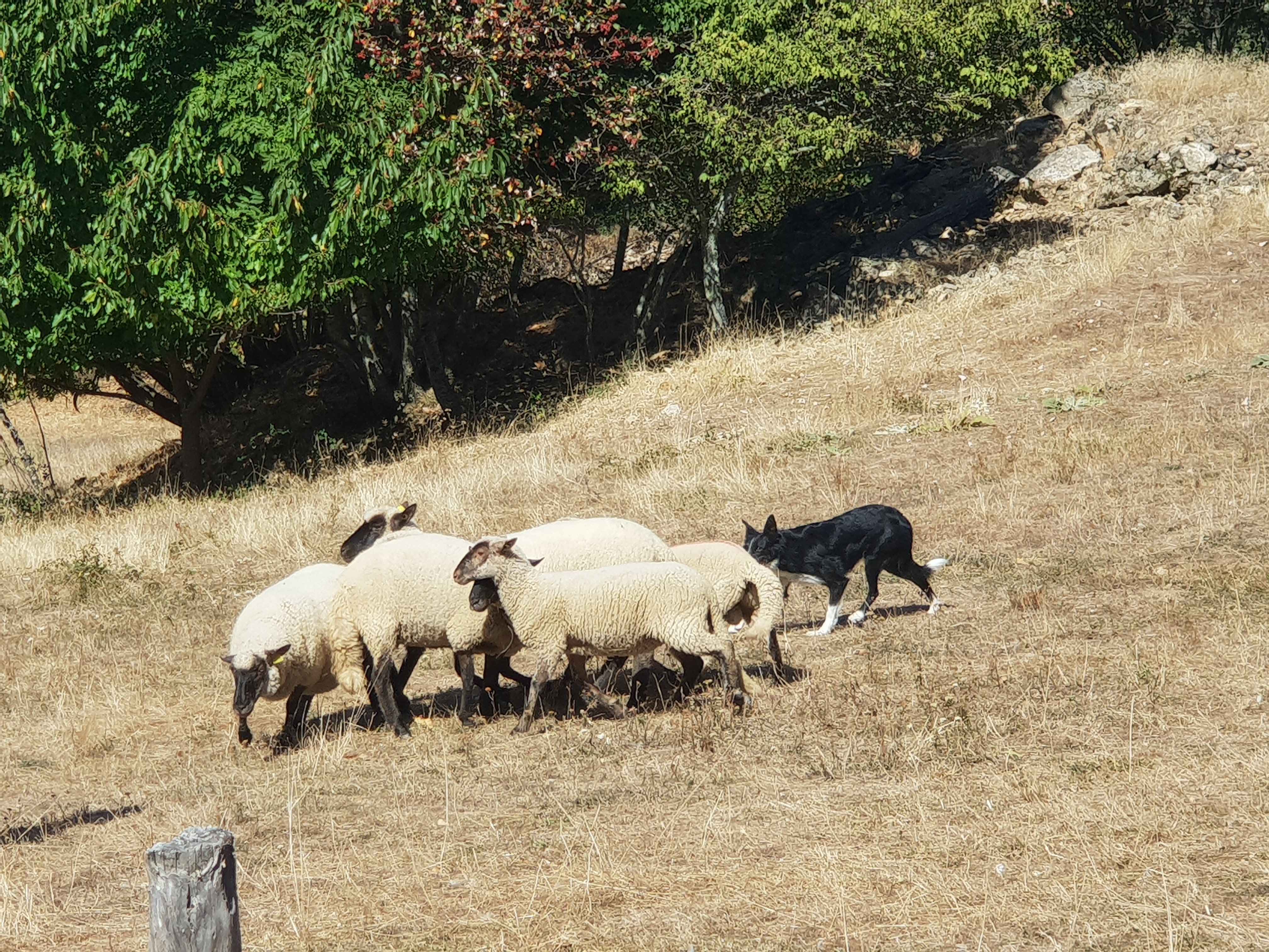 Photo n° 2 de l'avis de virginie.h fait le 26/09/2018 à 15:30