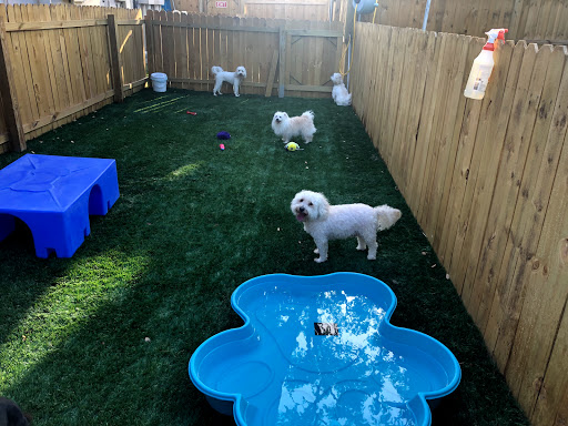 Pet Store «Bark Life Market», reviews and photos, 11220 Park Blvd N, Seminole, FL 33772, USA