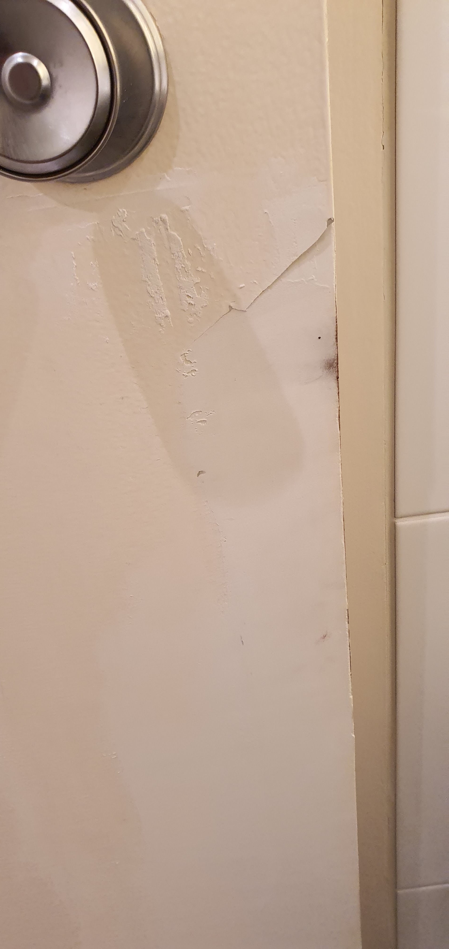 Photo n° 4 de l'avis de Zakaria.o fait le 12/12/2019 à 02:07
