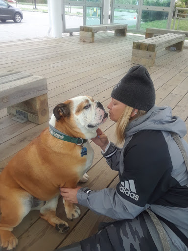 Park «Dorchester Shores Reservation Victory Road Park», reviews and photos, Victory Rd, Dorchester, MA 02122, USA