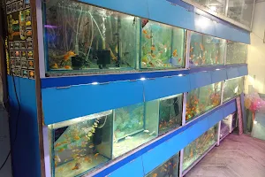 Balaji fish Aquarium and pets image