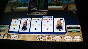 Dottys - photo 13