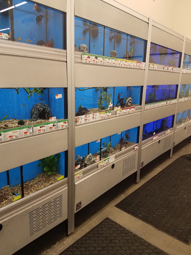 Pet Supply Store «Pet Supplies Plus», reviews and photos, 126 E Main St, Smithtown, NY 11787, USA