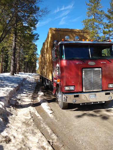 Animal Feed Store «Highway 20 Feed», reviews and photos, 31800 State Hwy 20, Fort Bragg, CA 95437, USA