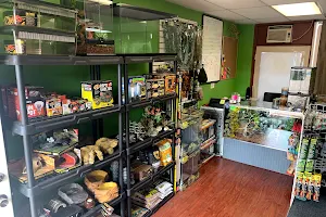 Ramsdell's Reptile Room LLC image