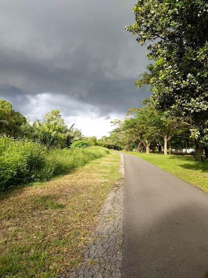 Jogging and Cycling Off-road Track