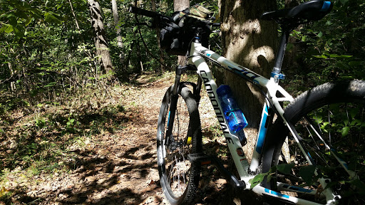 Bicycle Store «Big Shark Bicycle Company West», reviews and photos, 17233 Chesterfield Airport Rd, Chesterfield, MO 63005, USA