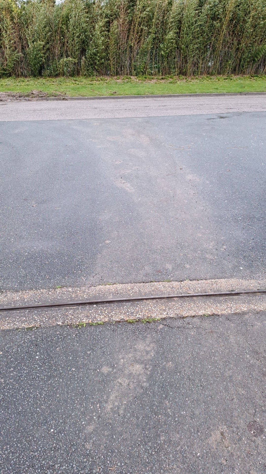 Photo n° 11 de l'avis de Andrzej.a fait le 05/12/2023 à 07:44