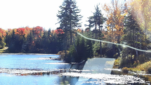 National Forest «Green Mountain and Finger Lakes National Forests», reviews and photos, 231 N Main St, Rutland, VT 05701, USA