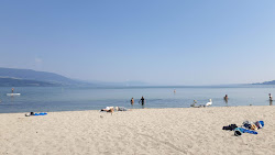 Foto von Port d'Yvonand Beach wilde gegend