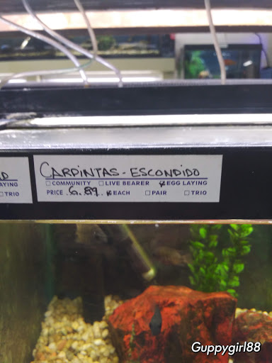 Pet Store «Southside Pet Shop», reviews and photos, 7031 Southside Dr, Louisville, KY 40214, USA