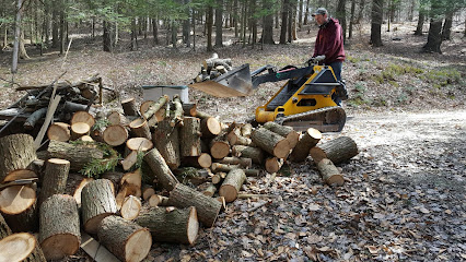 Log Dogs Firewood