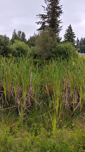 Park «Meridian Habitat Park & Community Center», reviews and photos, 14422 Meridian E, Puyallup, WA 98375, USA