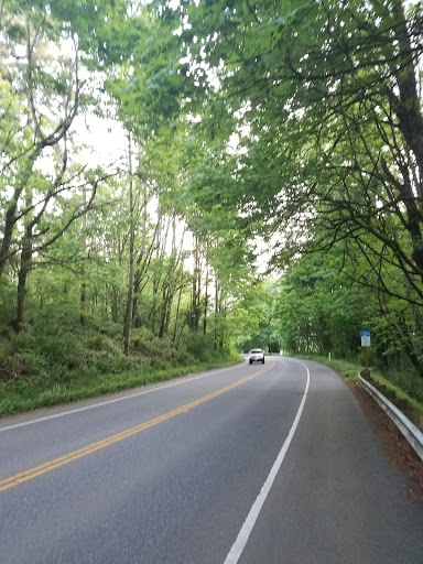 Park «Sacajawea Park», reviews and photos, 1401 S Dash Point Rd, Federal Way, WA 98003, USA