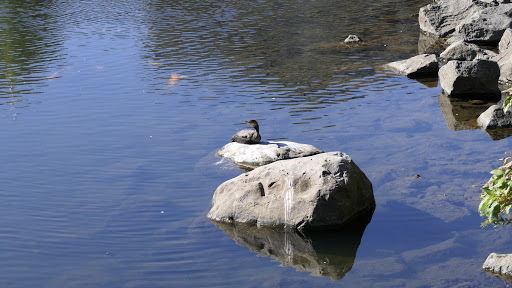 Park «Van Der Donck Park», reviews and photos, 41 Dock St, Yonkers, NY 10701, USA