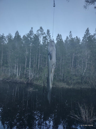 Nature Preserve «Serenova Tract», reviews and photos, 14900 Florida 52, Land O Lakes, FL 34638, USA