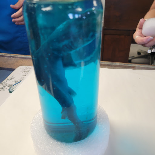 Gift Shop «Sea Shell Shoppe», reviews and photos, 120 N Austin St, Rockport, TX 78382, USA