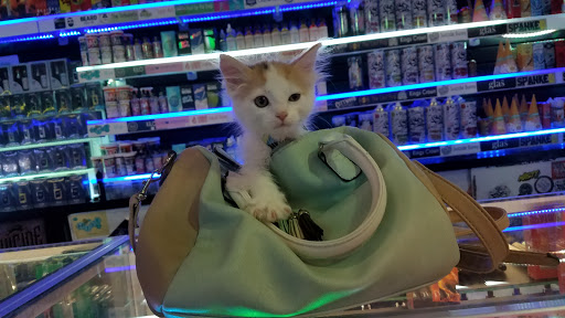 Tobacco Shop «Blue Smoke Shop», reviews and photos, 6703 N Kings Hwy, Myrtle Beach, SC 29572, USA