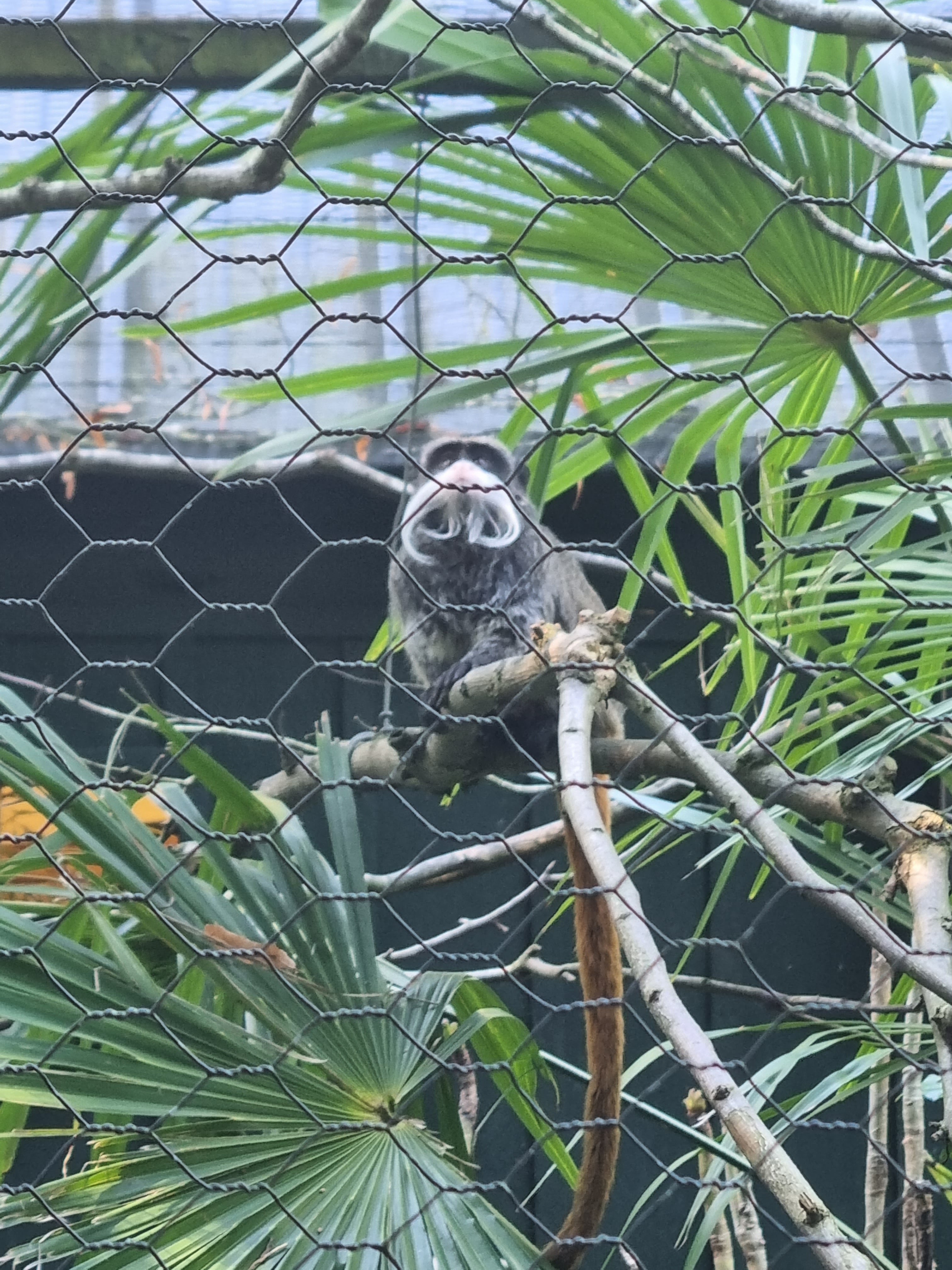 Photo n° 5 de l'avis de Thomas.o fait le 07/09/2023 à 18:11