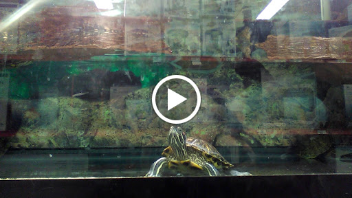 Pet Supply Store «Petco Animal Supplies», reviews and photos, 15790 South La Grange Road, Orland Park, IL 60462, USA