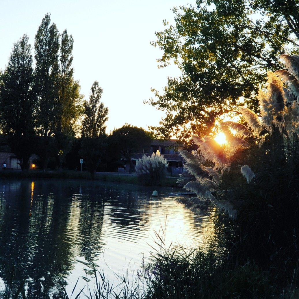 Photo n° 1 de l'avis de Koralie.i fait le 06/09/2019 à 10:50