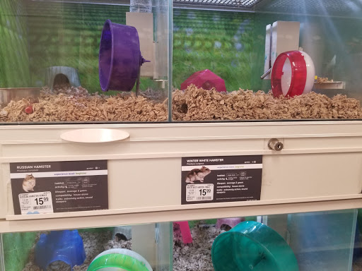 Pet Supply Store «PetSmart», reviews and photos, 6251 N Davis Hwy, Pensacola, FL 32504, USA