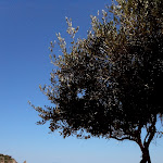 Photo n°2 de l'avis de carmelo.i fait le 28/09/2021 à 05:57 sur le  Calispera Hotel Village à Ricadi