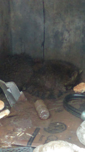 Auto Body Shop «Towne Auto Body Painting», reviews and photos, 307 Clark St, North Andover, MA 01845, USA