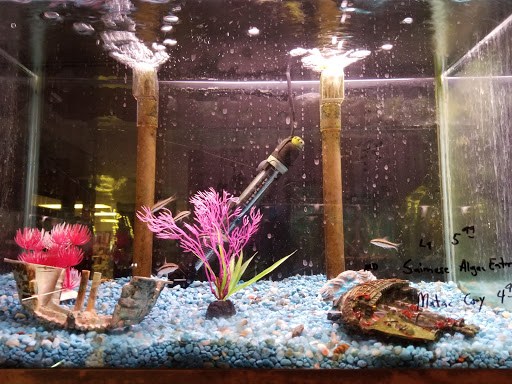 Pet Supply Store «All About Pets», reviews and photos, 9285 Cincinnati Columbus Rd, West Chester Township, OH 45069, USA