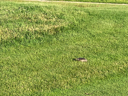 Golf Course «Airport Greens Golf Course», reviews and photos, 28980 White Rd, Willoughby Hills, OH 44092, USA