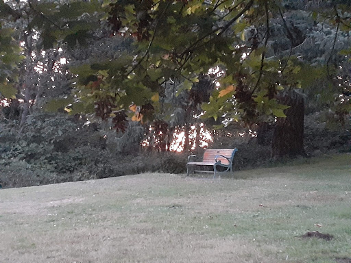 Park «Willamette Heights Park», reviews and photos, 508 Valley View, Springfield, OR 97477, USA
