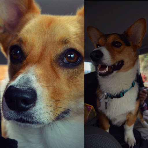 Employment Agency «Express Employment Professionals - Gresham, OR», reviews and photos, 120 NW Burnside Rd, Gresham, OR 97030, USA