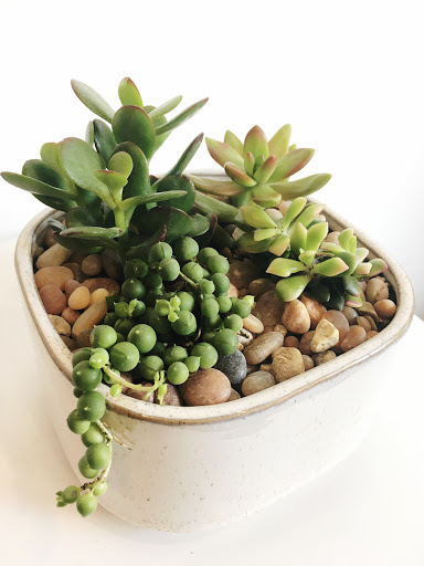 Florist «A Village of Flowers», reviews and photos, 1712 21st Ave S, Nashville, TN 37212, USA