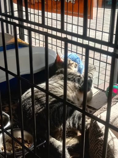 Pet Store «Pet Valu», reviews and photos, 307 Bayonne Crossing Way, Bayonne, NJ 07002, USA