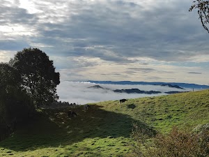 Quipe los robles - photo 1