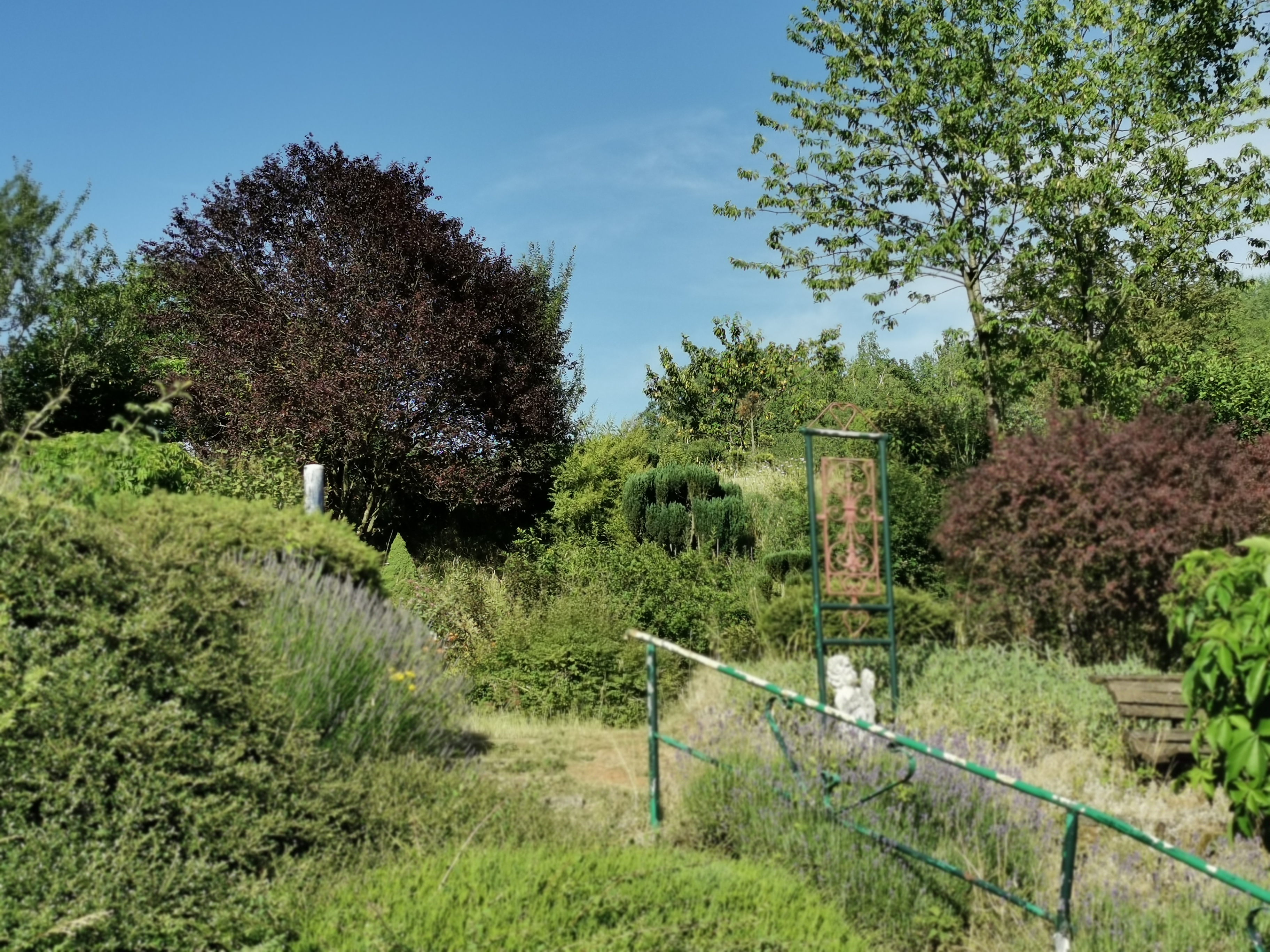 Photo n° 34 de l'avis de Phidis.a fait le 03/07/2019 à 17:43