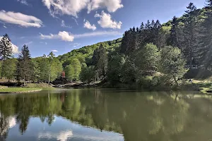 Језеро на Јастрепцу image