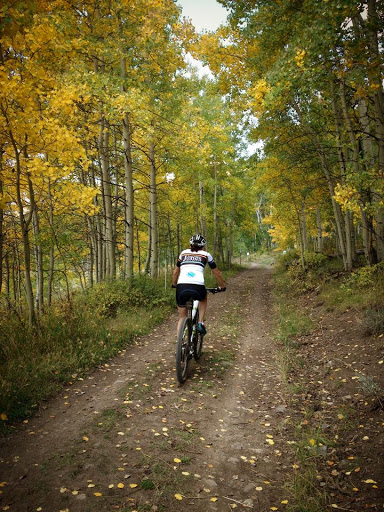 Bicycle Repair Shop «Two Wheel Jones Bicycles - Mesa», reviews and photos, 2837 N Power Rd #110, Mesa, AZ 85215, USA