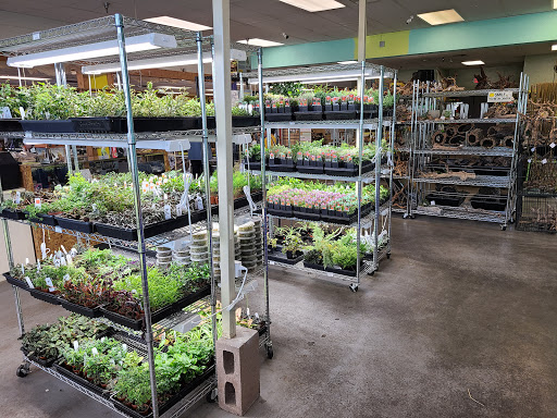 Pet Store «Tye-Dyed Iguana - Reptiles», reviews and photos, 1905 W U.S. 50, Fairview Heights, IL 62208, USA