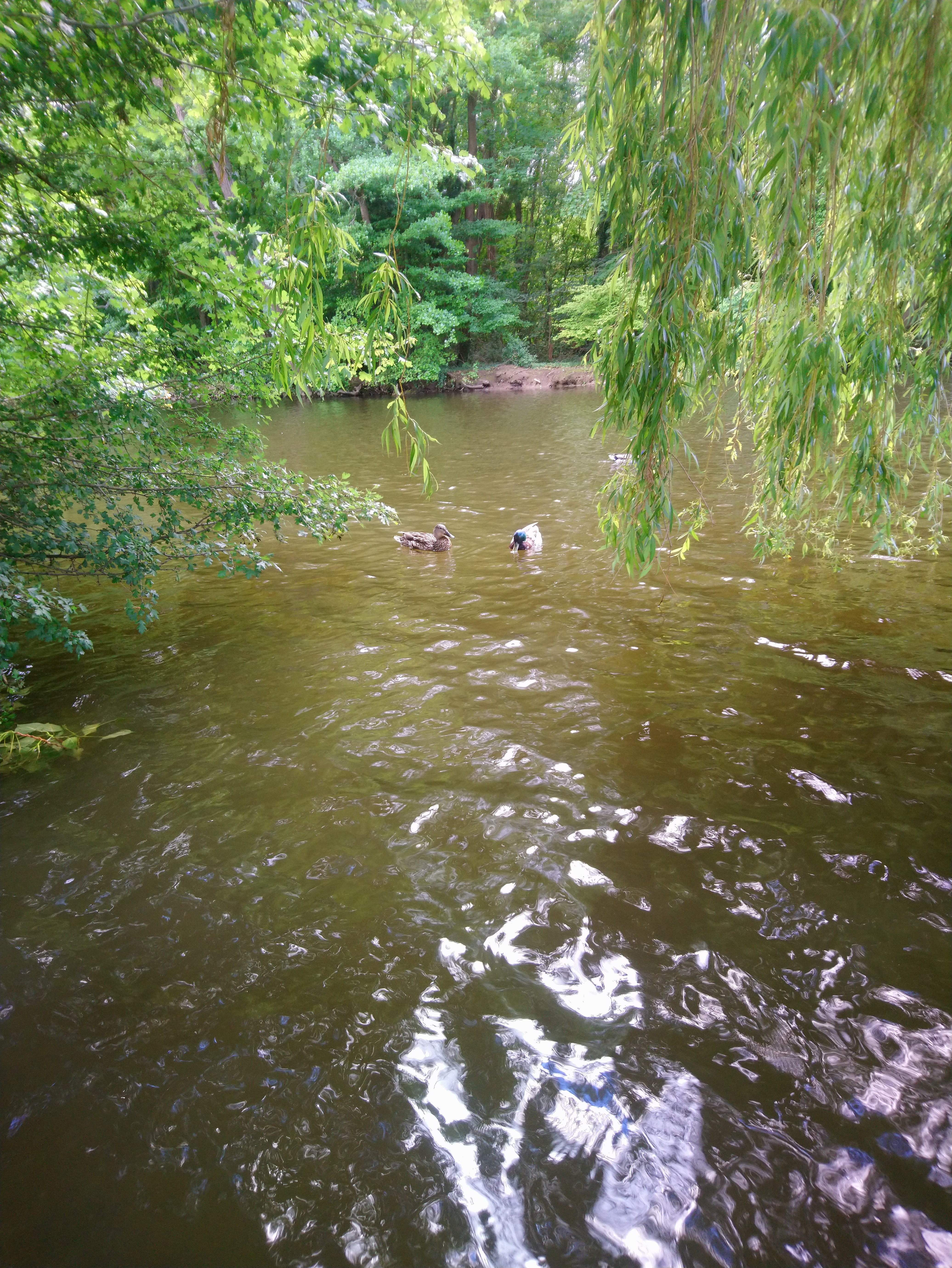 Photo n° 5 de l'avis de Lucien.e fait le 10/06/2019 à 14:26