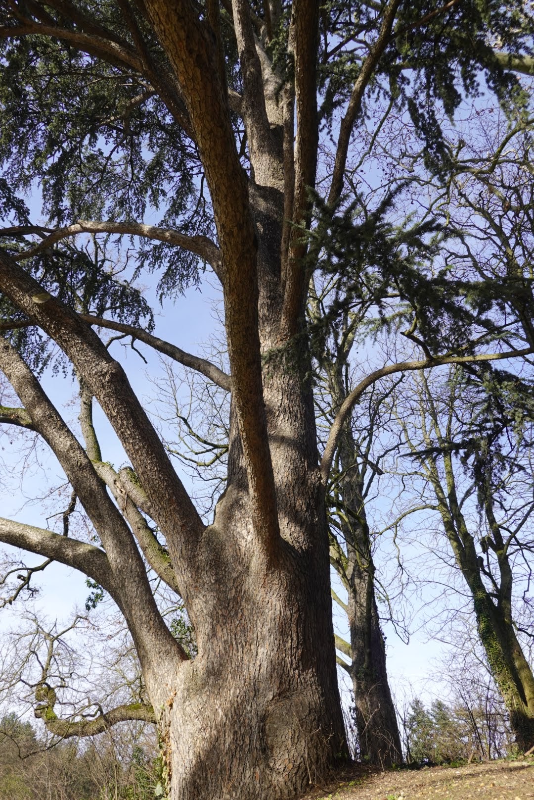 Photo n° 2 de l'avis de D. fait le 11/03/2024 à 08:32