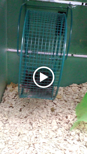 Pet Supply Store «Pet Supplies Plus», reviews and photos, 3040 Cromer Ave NW, Canton, OH 44709, USA