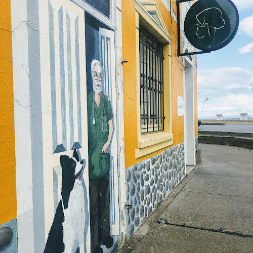 Opiniones de Veterinaria del Estrecho en Punta Arenas - Veterinario