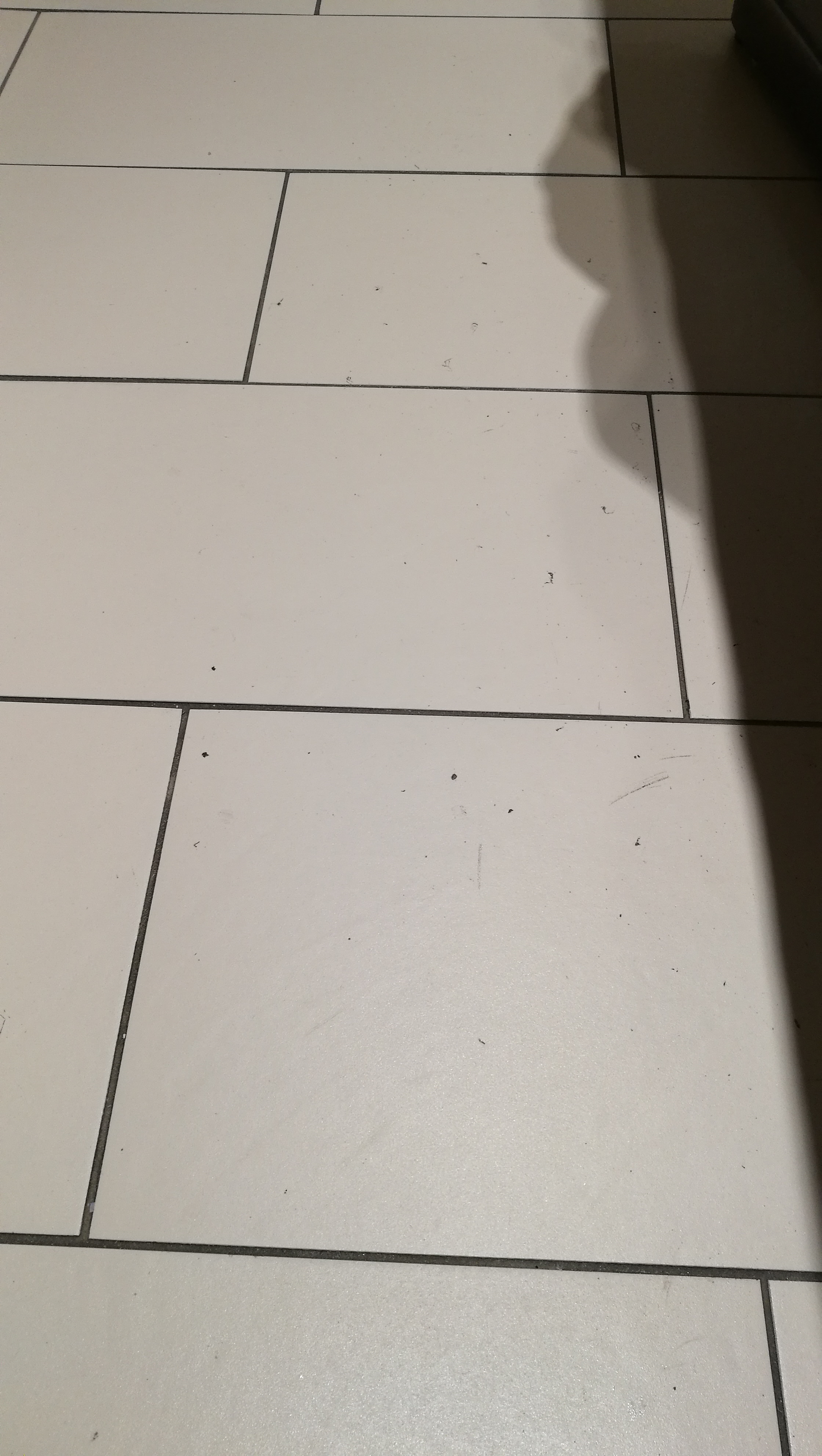 Photo n° 4 de l'avis de Aurelie.o fait le 14/01/2022 à 23:14